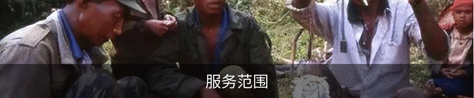 服务范围